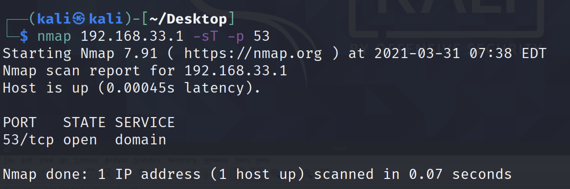扫描目标的53端口