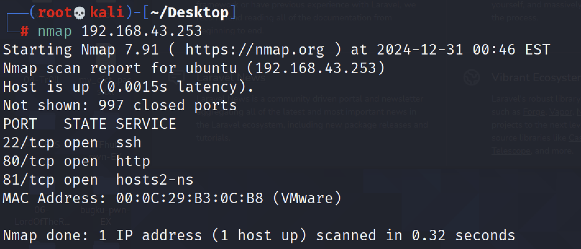 主机端口扫描示例
