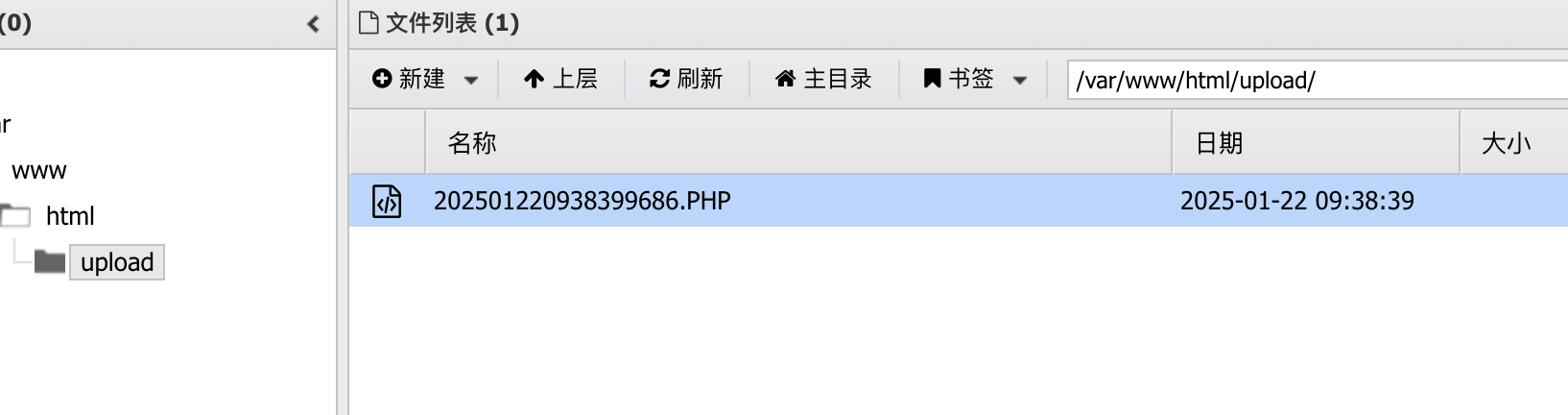通过Pass05上传的webshell