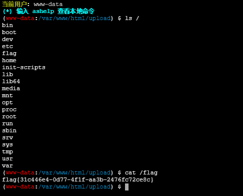 image-20250120205534174