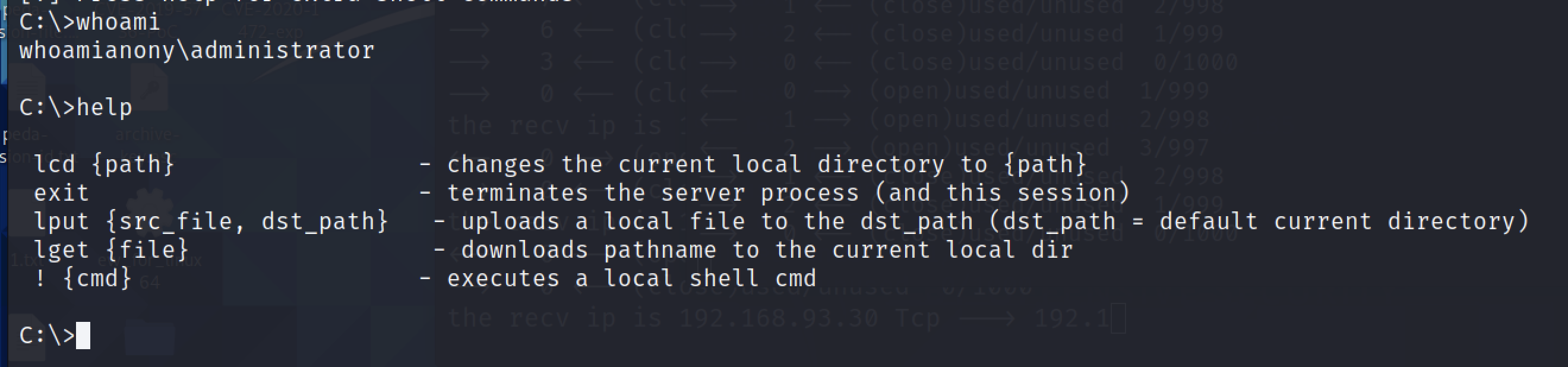 截屏2025-03-13 13.59.19